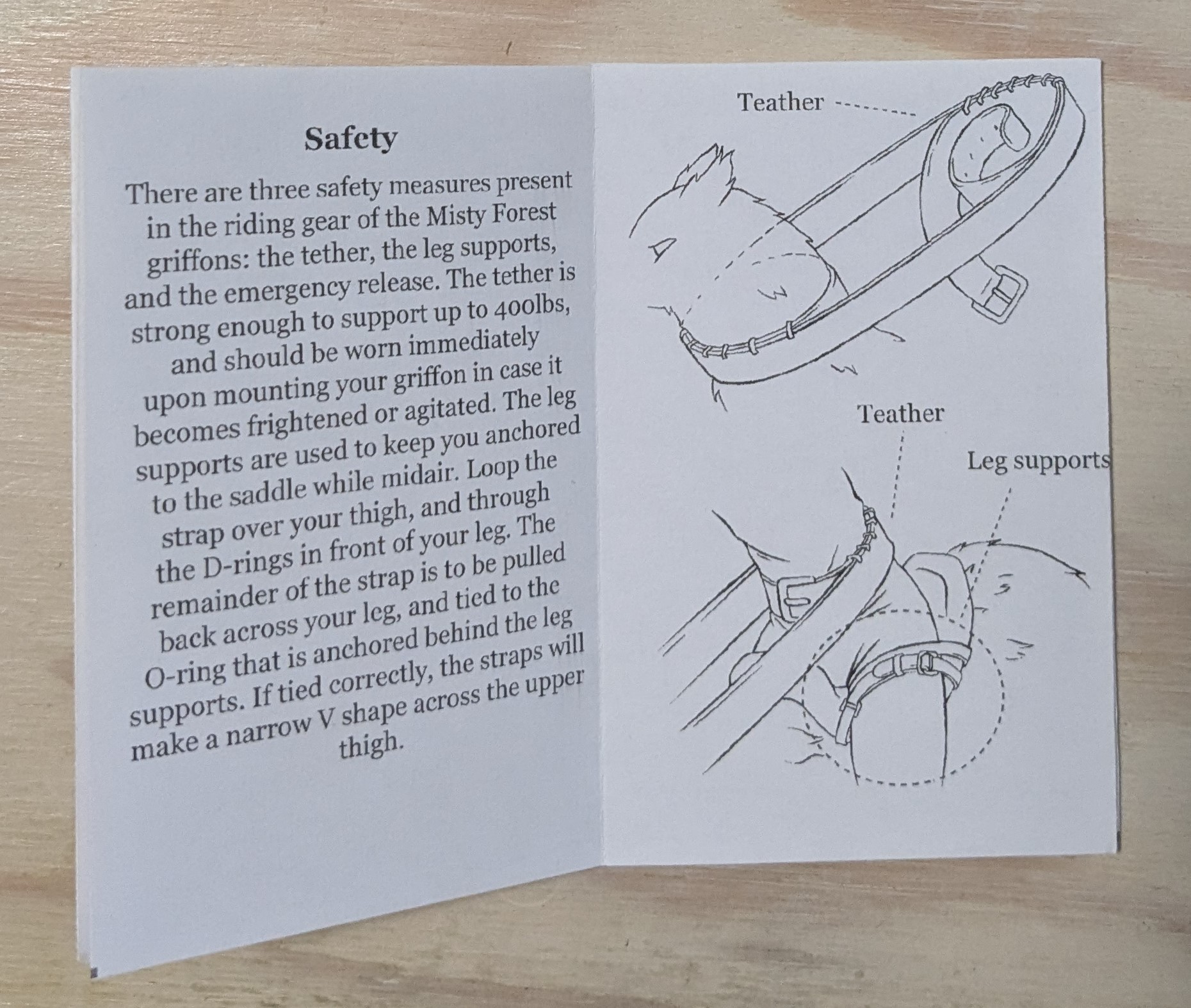 Griffon riding manual interior sample